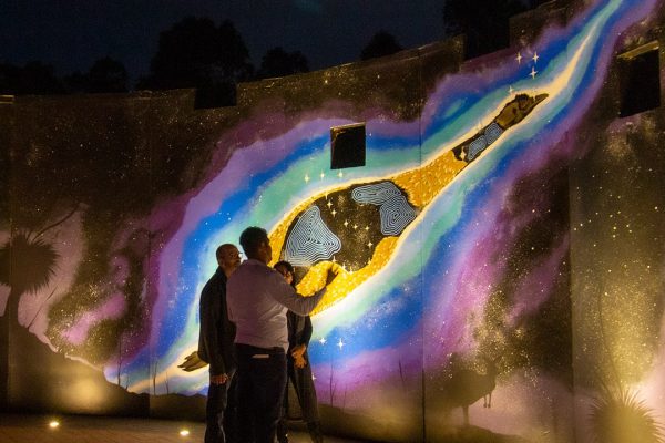 Painter Peter Farmer Jnr discusing his painting. Image Credit: Geoff Scott