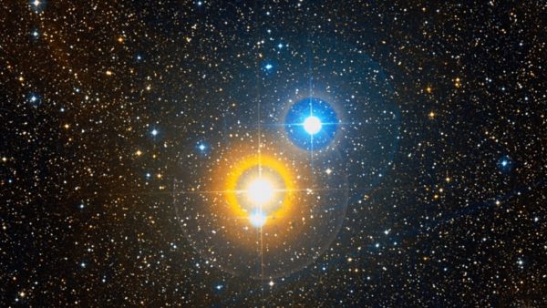 Albireo. Image Credit: Palomar Observatory/STScI/WikiSky