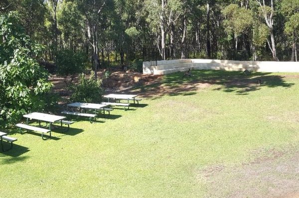 Our back lawn and Amphitheatre. Image Credit: Matt Woods