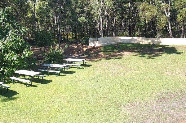 Our back lawn and Amphitheatre. Image Credit: Matt Woods