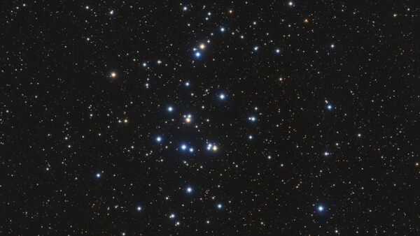 The Beehive Cluster. Image Credit: Bob Franke