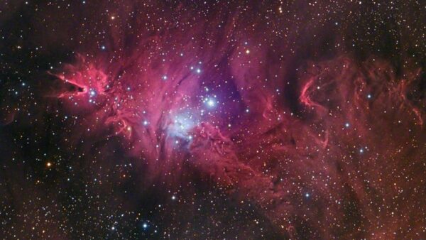 The Christmas Tree Cluster. Image Credit: Tom Matheson