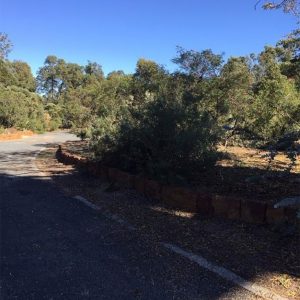 Cleared out garden. Image Credit: Julie Matthews