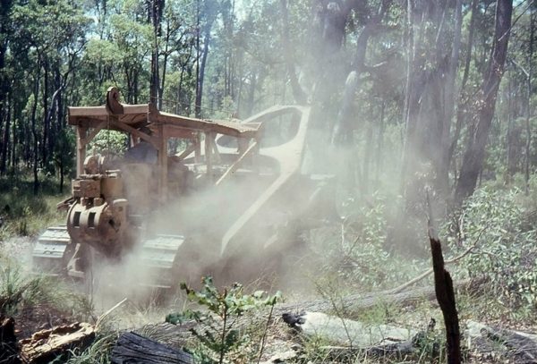 Clearing of the land where the Observatory would be built in Bickley. Image Credit Perth Observatory