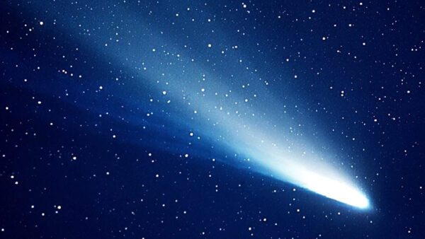Comet Halley. Image Credit & Copyright: NASA