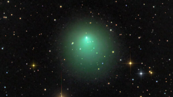 Comet 2P/Encke. Image Credit & Copyright: D. Peach