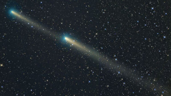 The many tails of Comet 73P. Image Credit and Copyright: Michael Jaeger