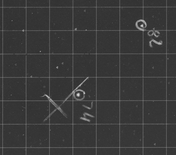 Enlargement of close to the centre of the 1st Perth Astrographic Catalogue plate showing that there are actually 3 images of each star. Image Credit: Dr Craig Bowers