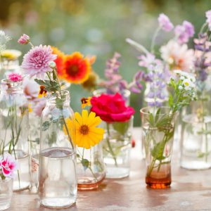 Flowers in jars. Image Credit: wallpapermania.eu
