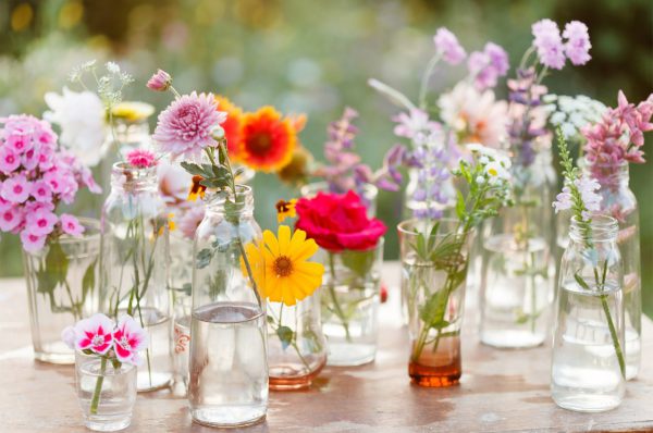 Flowers in jars. Image Credit: wallpapermania.eu