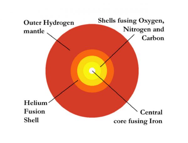 Diagrammatic representation of the structure of a large Red Giant star at the end of it's life. Image Credit: historyoftheuniverse.com