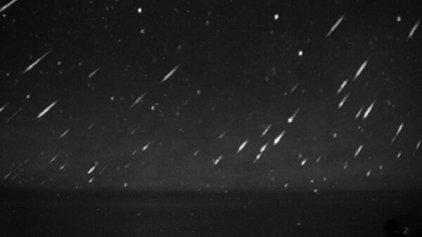 The 1999 Leonid meteor storm. Image Credit: Filipa Rodrigues