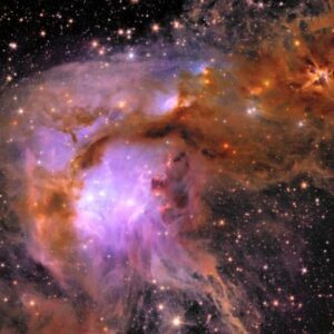 Messier 78. Image Credit: ESA/Euclid/Euclid Consortium/NASA, image processing by J.-C. Cuillandre (CEA Paris-Saclay), G. Anselmi