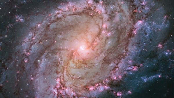 The Southern Pinwheel Galaxy. Image Credit: NASA, ESA and the Hubble Heritage Team (STScI/AURA); Acknowledgment: W. Blair (STScI/Johns Hopkins University) and R. O'Connell (University of Virginia)