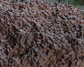 Mundrabilla Meteorite banner