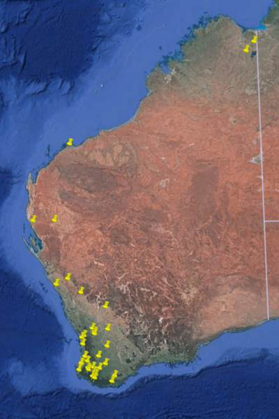 Night camera expression of interest locations. Image Credit: Google Earth