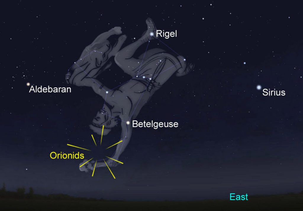 Where the Orionids appear to comes from. Image Credit: Stellarium