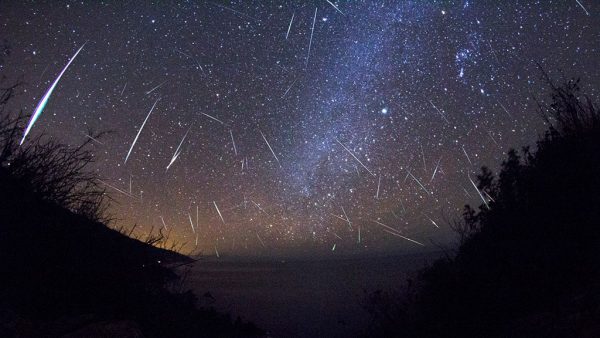 A composite of the Orionids meteor shower. Image Credit: Slooh Observatory