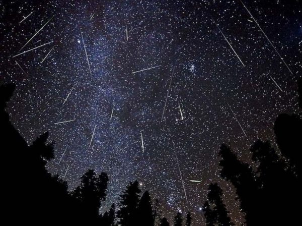 Orionids meteor shower over a forest. Image Credit: Yuga