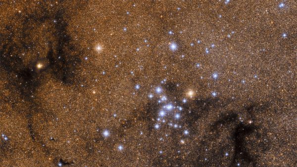 Ptolemy Cluster. Image Credit & Copyright: Lorand Fenyes