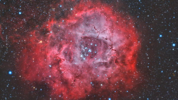 The Rosette Nebula. Image Credit & Copyright: Antonio Ferretti & Attilio Bruzzone