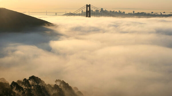 Fog outside the Golden Gate. Image credit: Brocken Inaglory