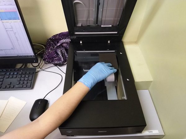 Volunteer Zoe scanning a glass plate. Image Credit: Matt Woods