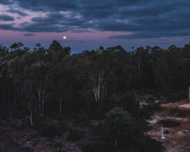Strawberry moon banner