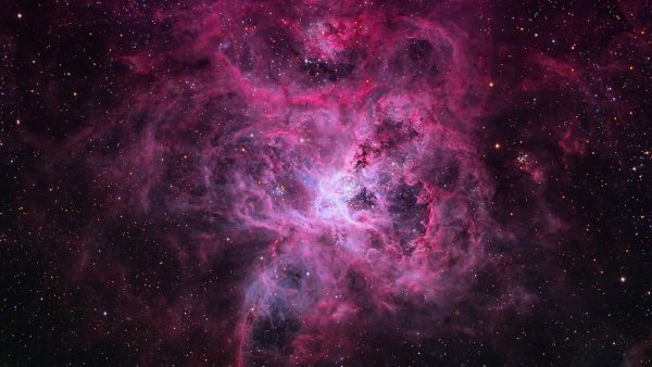 Tarantula Nebula. Image Credit: Peter Ward (Barden Ridge Observatory)