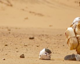 The Last Days On Mars banner